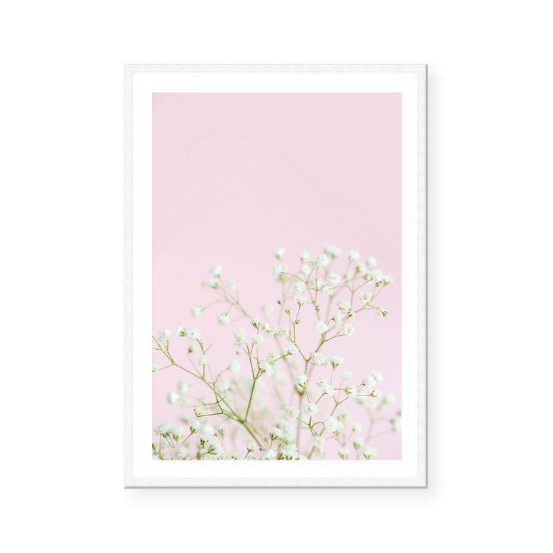 White Gypsophila | Art Print