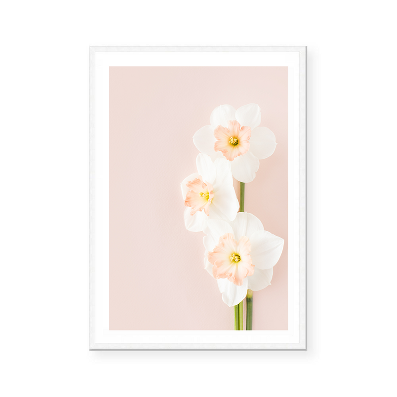 Pink Daffodils I | Art Print