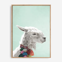 Llama | Canvas Print