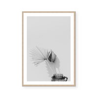 Aleena | Art Print