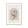 Magnolia Illustration III | Art Print