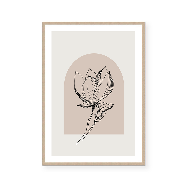 Magnolia Illustration III | Art Print