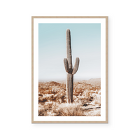 Desert Cactus Views | Art Print