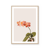 Le Orchid | Art Print