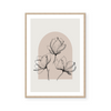 Magnolia Illustration II | Art Print