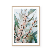 Native Flora | Art Print