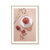 Pomegranate | Art Print