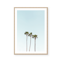 California Palms | Art Print