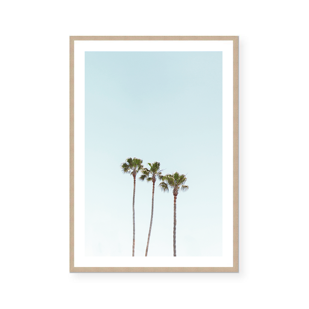 California Palms | Art Print