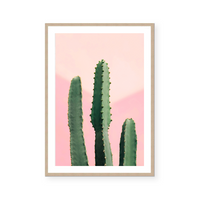 Pink Cactus | Art Print