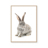 Baby Bunny II | Art Print