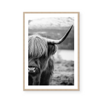Highlander Cow | B&W | Art Print