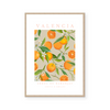 Valencia | The Fruit Collection | Art Print