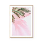 Pink Palm | Art Print