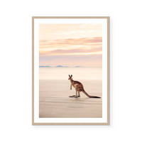 Kangaroo | Art Print