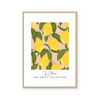 Lemons | The Fruit Collection | Art Print