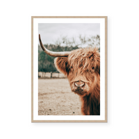 Highlander | Art Print