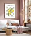 From The Garden | Lemons | Art Print