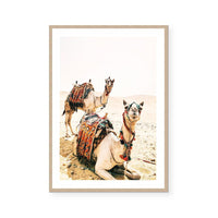 Desert Camel | Art Print