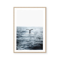 Humpback | Art Print