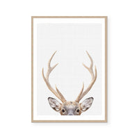 Antler | Art Print