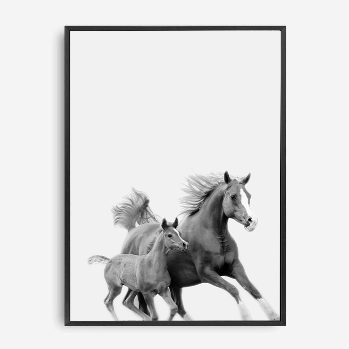 Saxton | Canvas Print