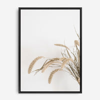 Goldie | Canvas Print