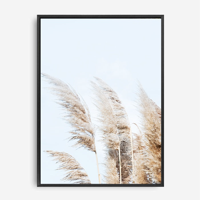 Beach Pampas | Canvas Print