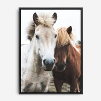 Sandy | Canvas Print