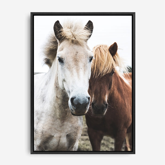 Sandy | Canvas Print