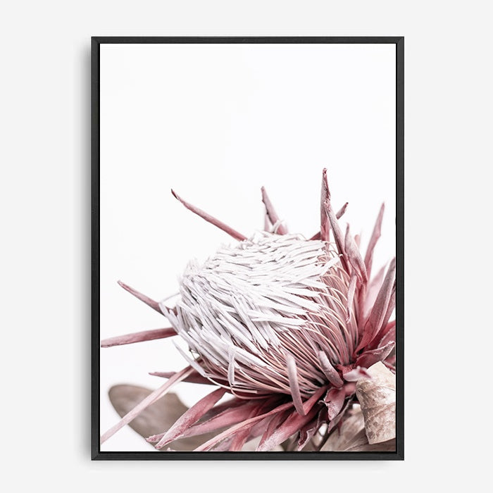 Ellen | Canvas Print