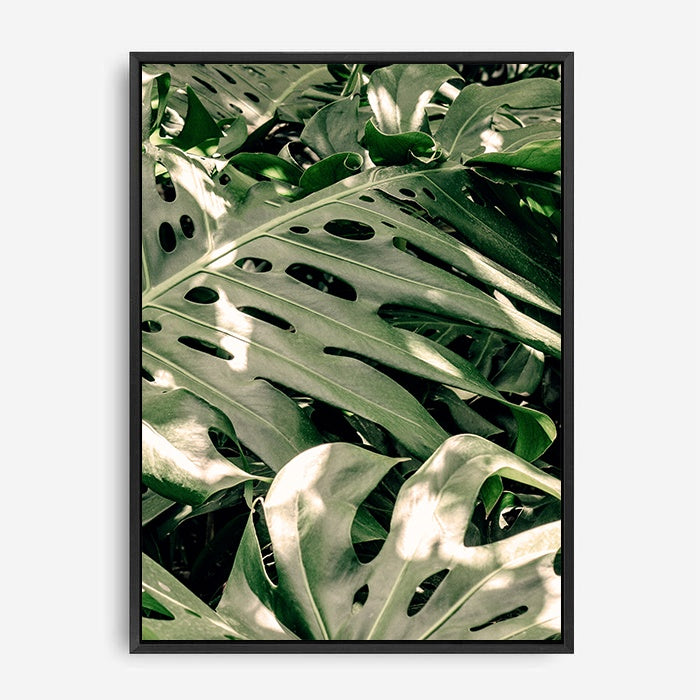 Adrian | Canvas Print