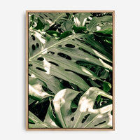 Adrian | Canvas Print