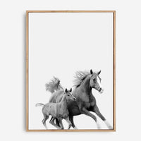 Saxton | Canvas Print