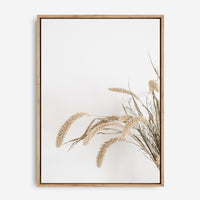Goldie | Canvas Print