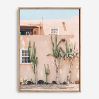 Mimosa | Canvas Print