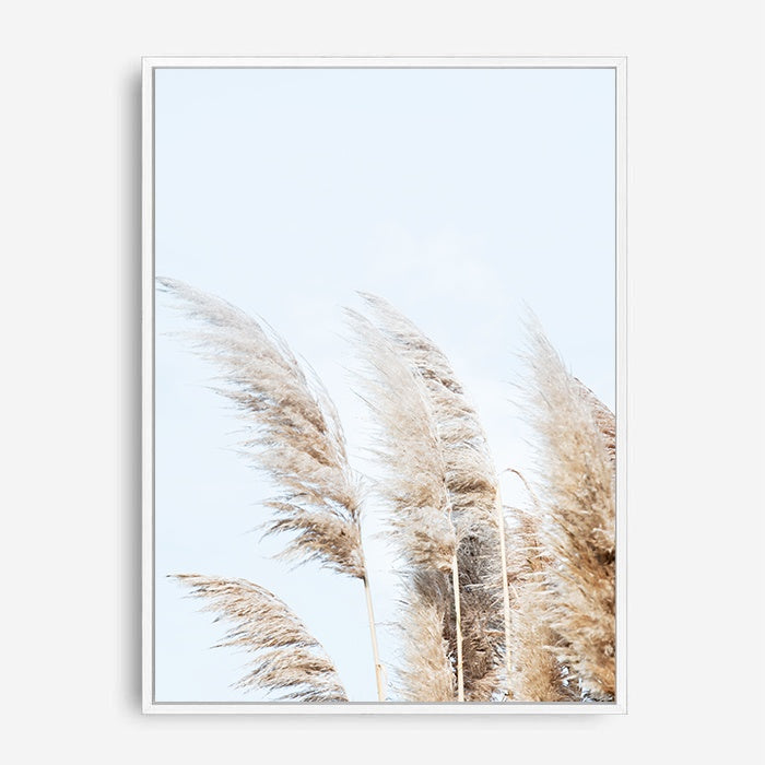 Beach Pampas | Canvas Print