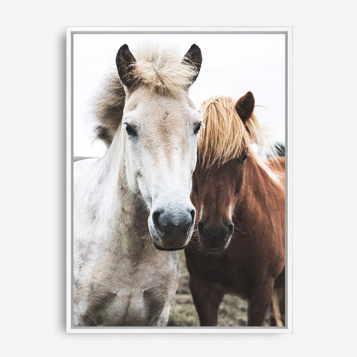 Sandy | Canvas Print