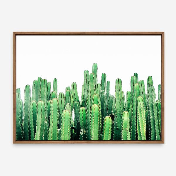 Coen | Canvas Print