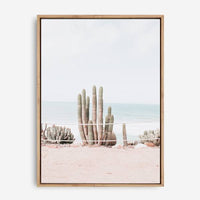 Beach Cactus | Canvas Print