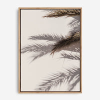 Palm Shadow II | Canvas Print