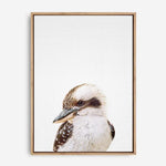 Kookaburra | Canvas Print