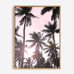 Tropics | Canvas Print