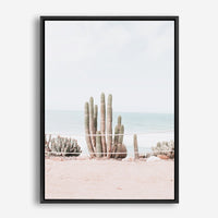 Beach Cactus | Canvas Print