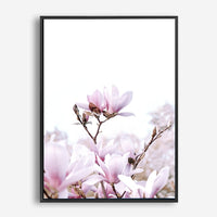 Magnolia | Canvas Print