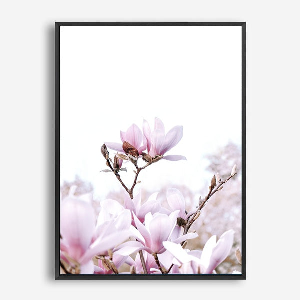 Magnolia | Canvas Print