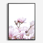 Magnolia | Canvas Print