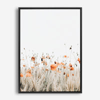 Poppies I | Canvas Print