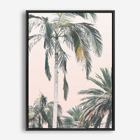 Orissa | Canvas Print