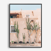 Mimosa | Canvas Print